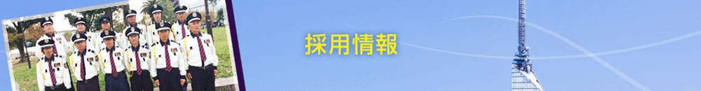 採用情報